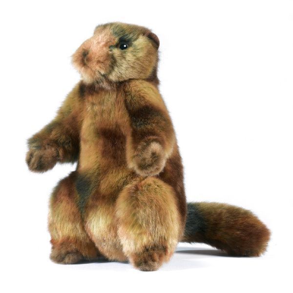  Peluche Marmotte - 20 cm