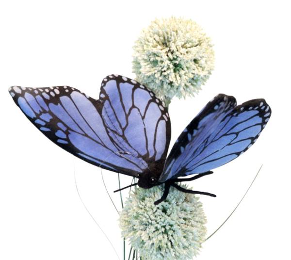 Anima Peluche Papillon Bleu - 13 cm