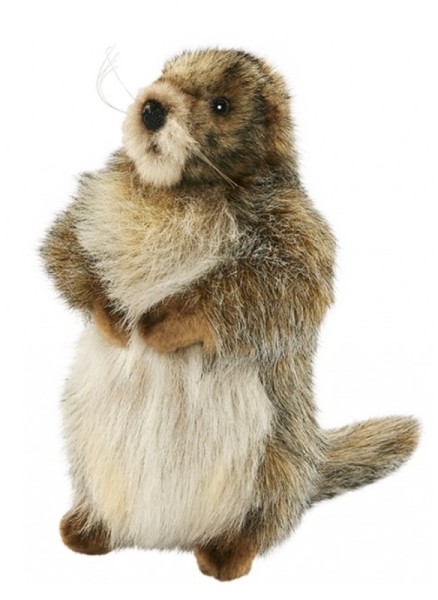 Hansa Peluche Marmotte - 25 cm