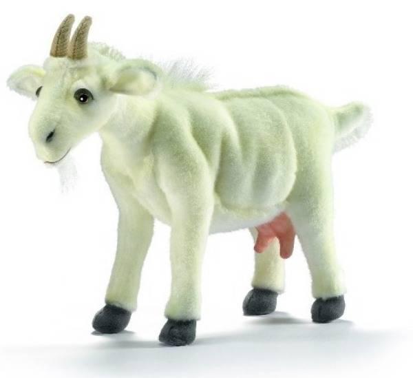 Anima Peluche biquette blanche 35 cm Doudouplanet Livraison Gratuite 24 48h