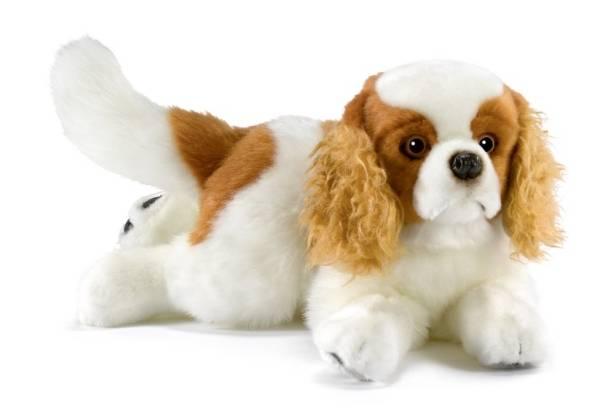 Anima Peluche Chien Cavalier King Charles - 42 cm