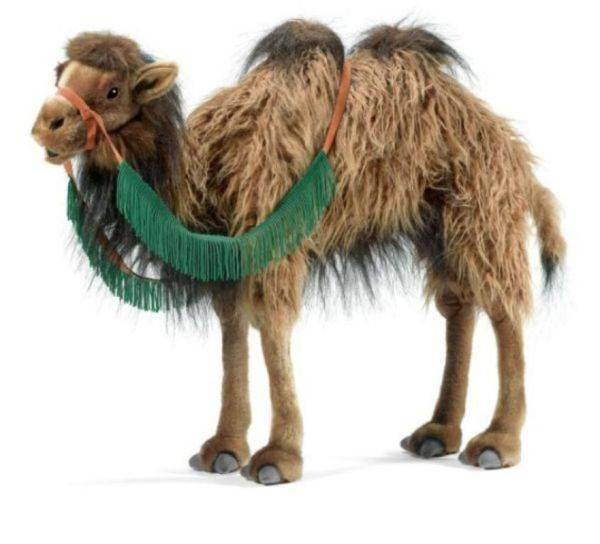 Anima Peluche Chameau - 45 cm