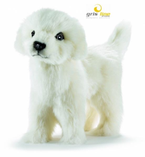 Anima Peluche Chien Belle - 20 cm