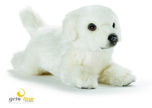Anima Peluche Chien Belle Couchée - 31 cm