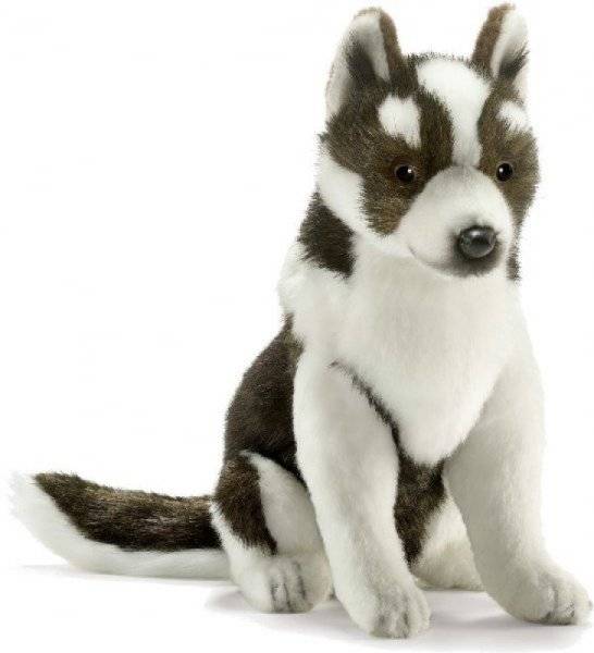 Anima Peluche Chien de Traineau Bébé 30 cm