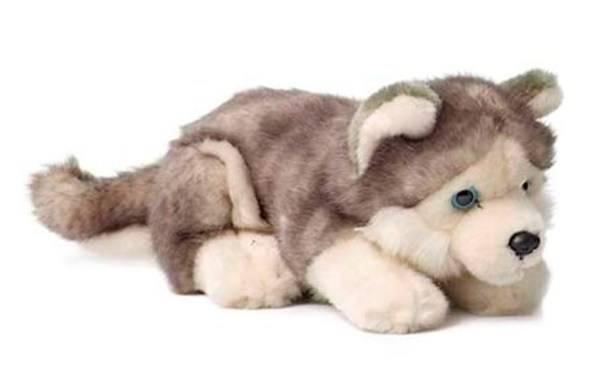  Peluche Chien Husky - 20 cm