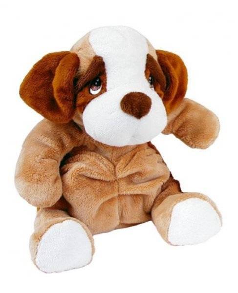 Nounours chien sales