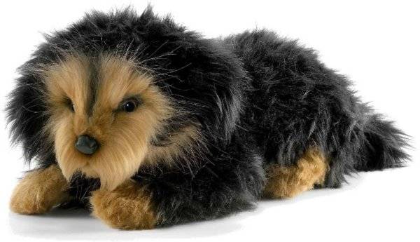 Anima Peluche Chien Teckel Nain - 37 cm