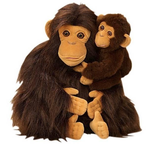 National Geographic Peluche Chimpanzé avec son Bébé