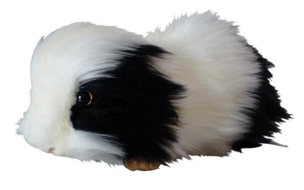 Anima Peluche Cobaye Noir - 20 cm