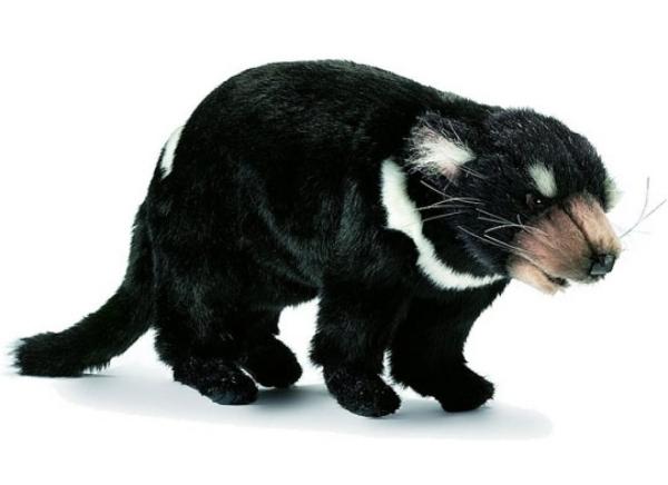 Anima Peluche Diable de Tasmanie - 33 cm