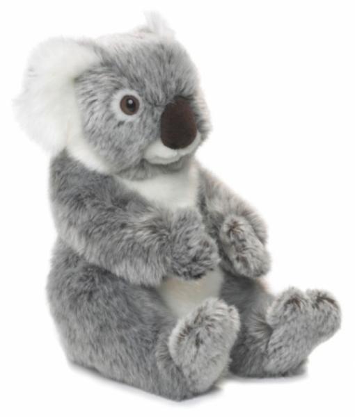 WWF Peluche Koala - 22 cm