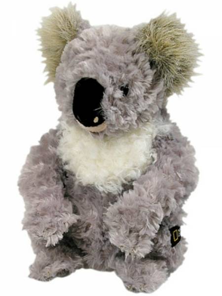 National Geographic Peluche Koala -15 cm