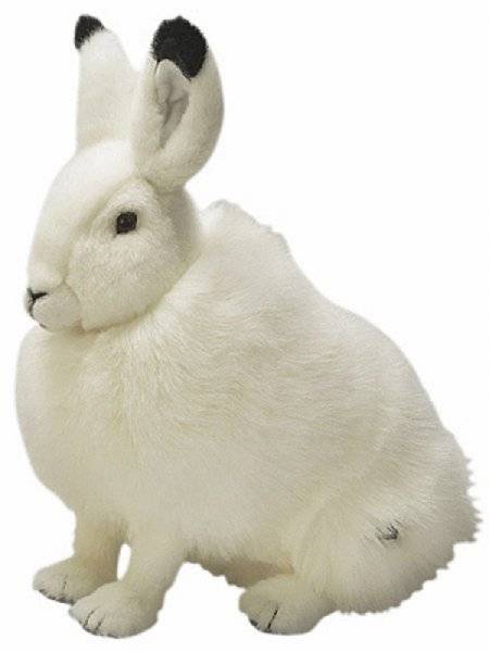 National Geographic Peluche Lièvre Blanc - 35 cm