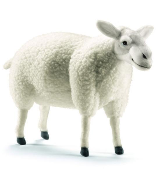 Anima Peluche Mouton Blanc - 38 cm