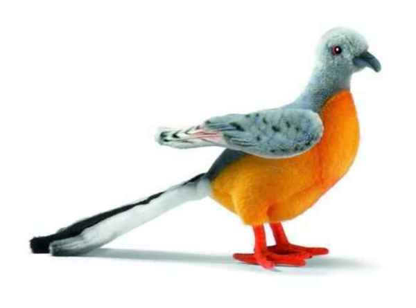 Anima Peluche Pigeon Migrateur Américain - 20 cm