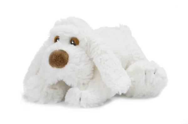  Peluchette Chien Blanc