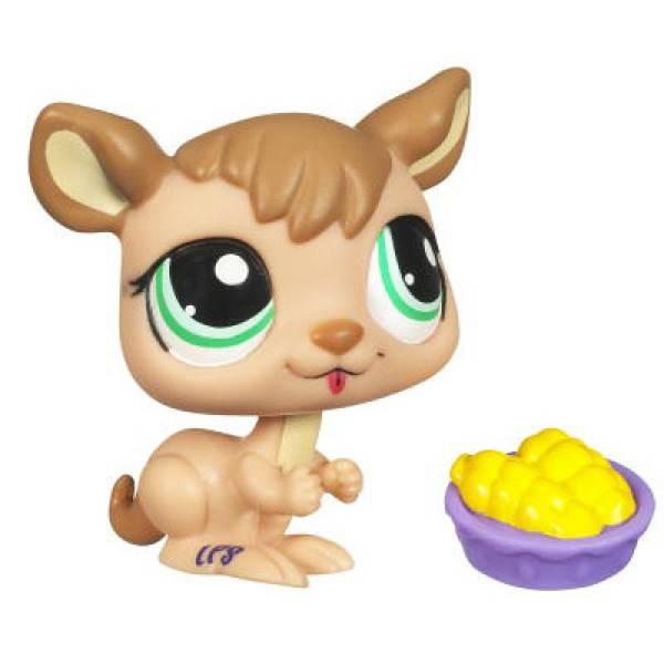 Hasbro Petshop Single Kangourou
