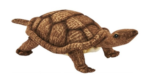 Anima Peluche Tortue Tête Articulée - 25 cm