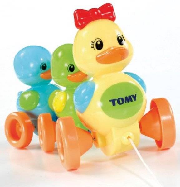 Tomy Trott Canards
