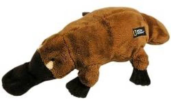 National Geographic Peluche Ornithorynque -15 cm