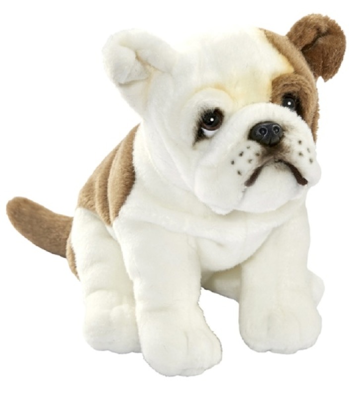 Peluche Bulldog Français Assis - 30 cm Anima Peluche Bulldog Français Assis - 30 cm de chez Anima, collection Les Animaux de Compagnies