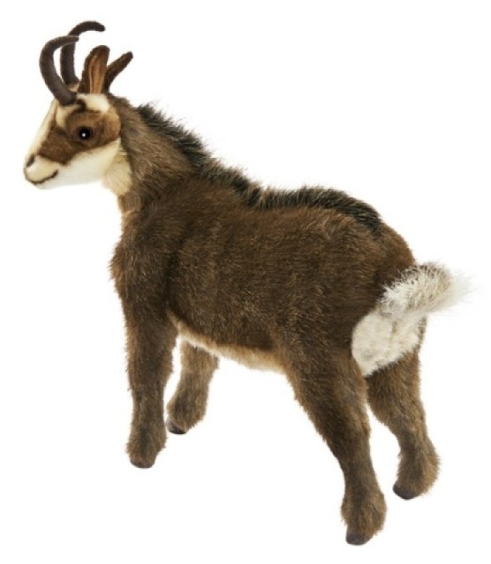 anima peluche