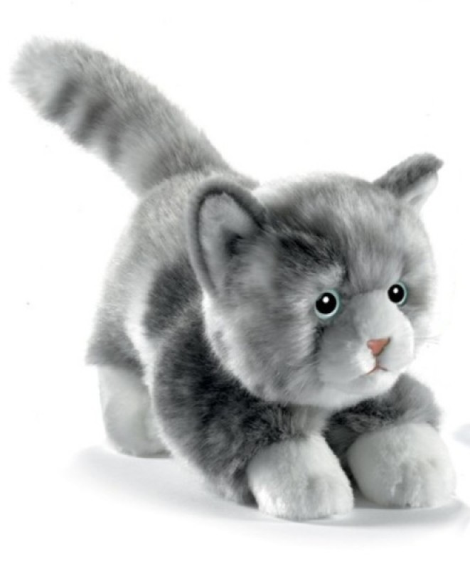 chat peluche animé