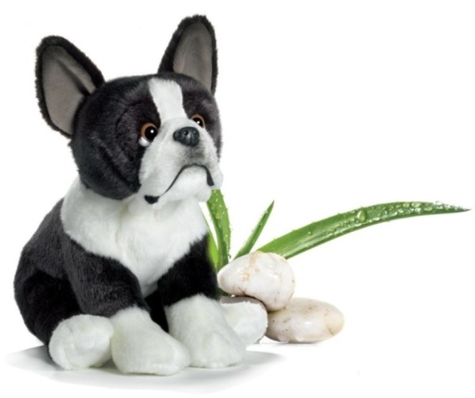 Anima Peluche Chien Bulldog Français - 22 cm Anima Peluche Chien Bulldog Français - 22 cm