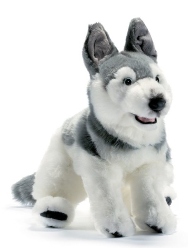 Peluche Chien Husky - 42 cm Anima Peluche Chien Husky - 42 cm de chez Anima, collection Les Animaux de Compagnies