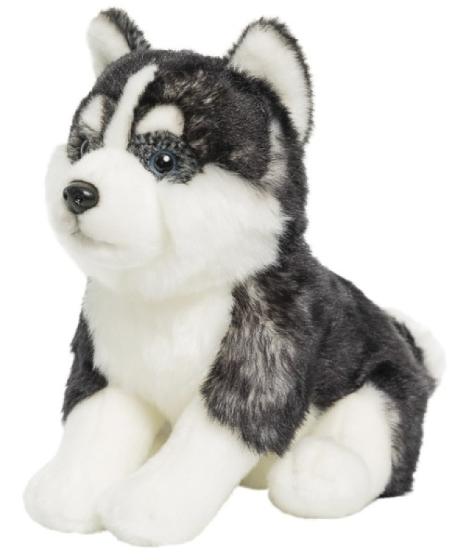 Peluche Chien Pomsky Anima Peluche Chien Pomsky de chez Anima, collection Les Animaux de Compagnies