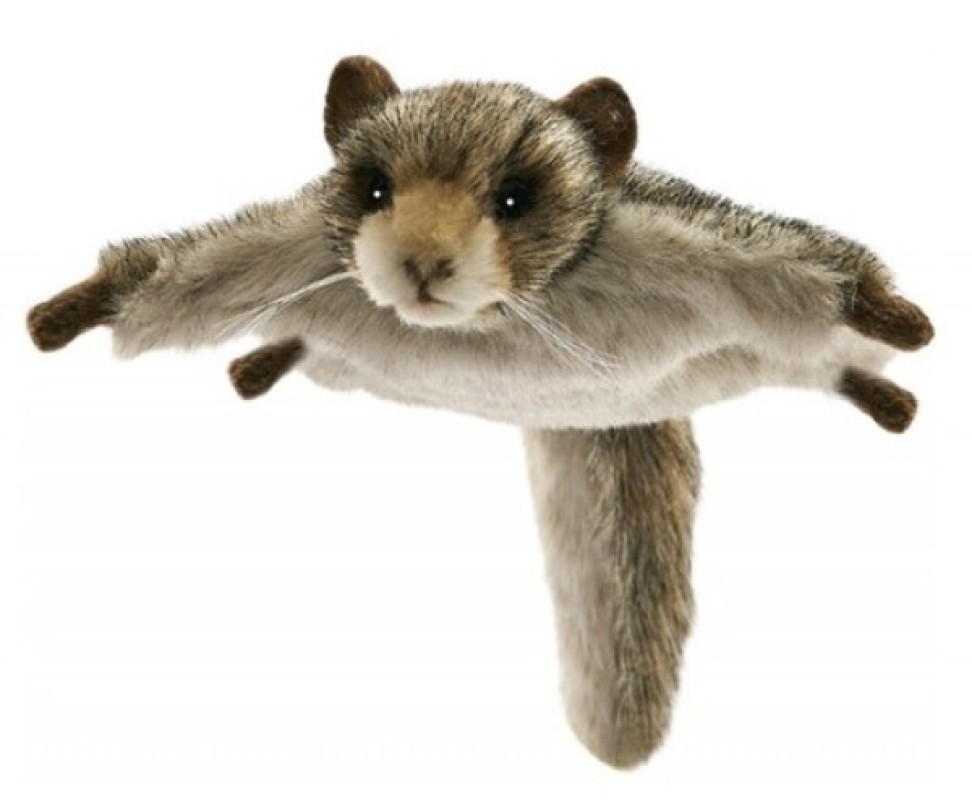 Anima Peluche Ecureuil Volant 22 Cm Doudouplanet