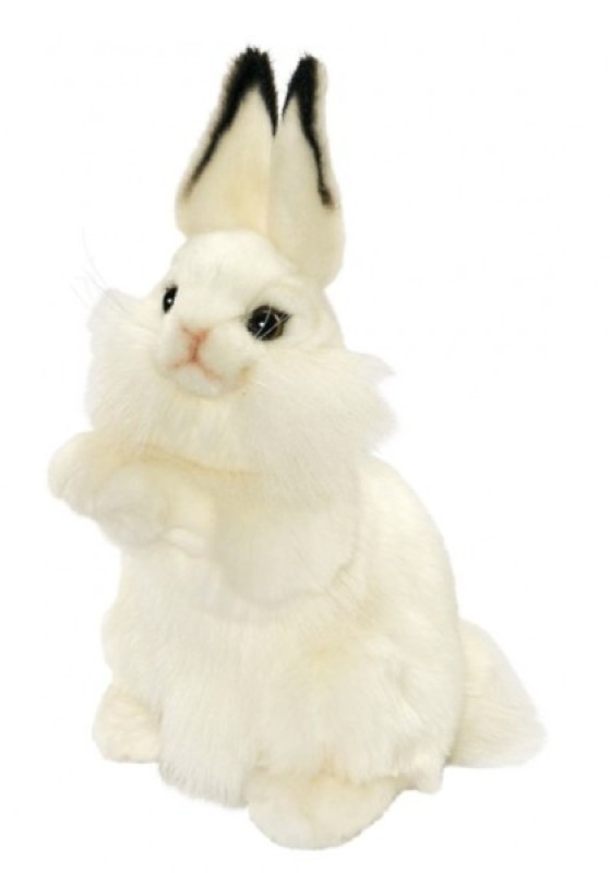 lapin peluche blanc
