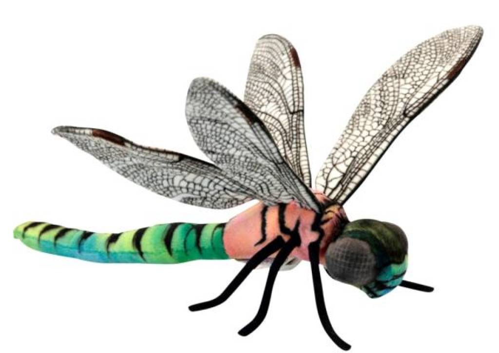 Peluche libellule Clearance