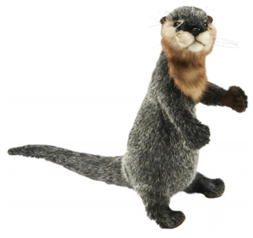 peluche loutre