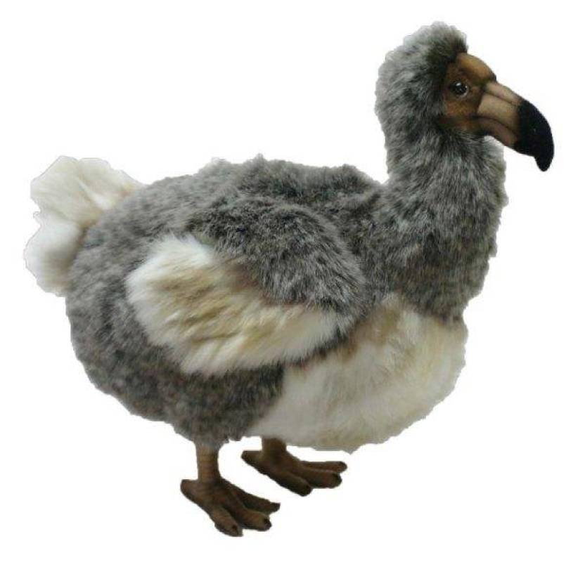 peluche pigeon