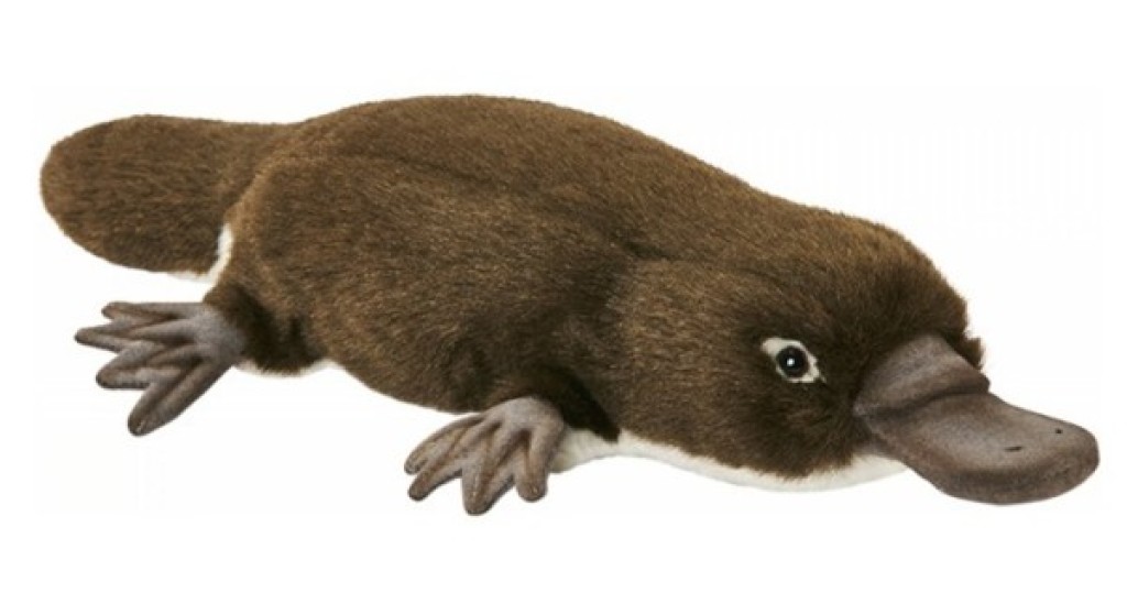 Anima Peluche Ornithorynque - 28 cm Anima Peluche Ornithorynque - 28 cm