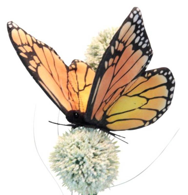 13 cm Peluche Papillon Monarque Anima