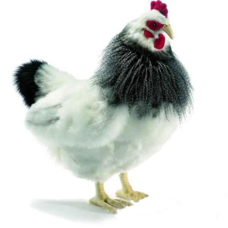Anima Peluche Poule Noire et Blanche 40 cm Anima Peluche Poule Noire et Blanche 40 cm