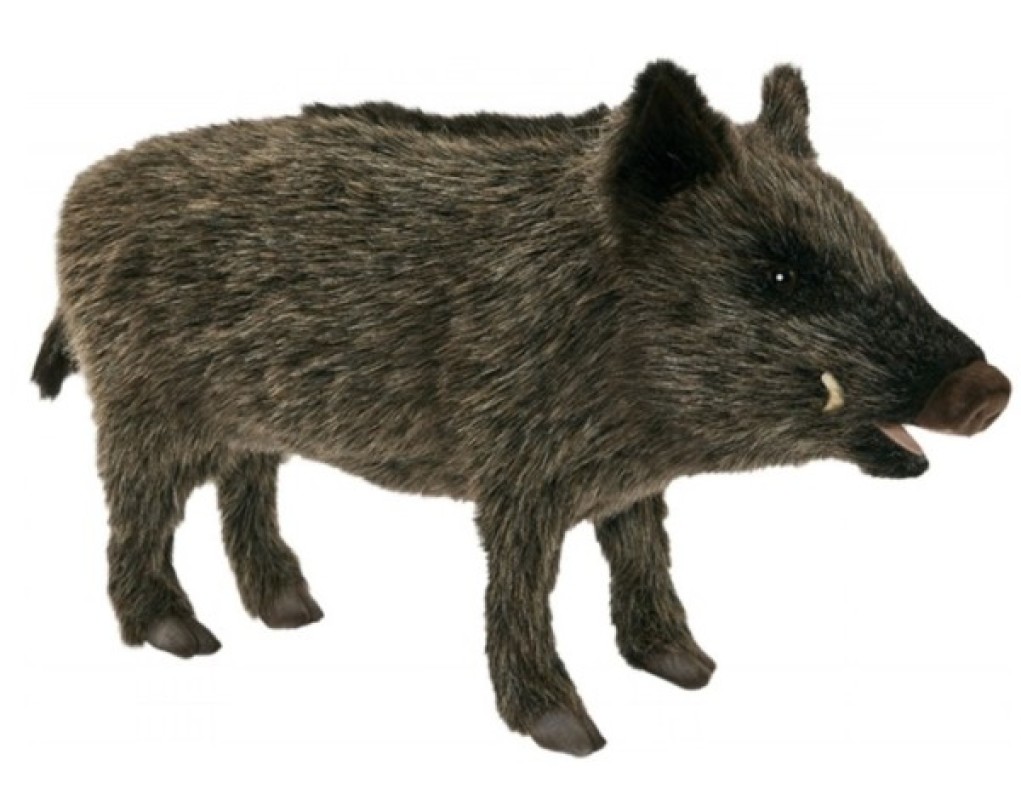 peluche sanglier