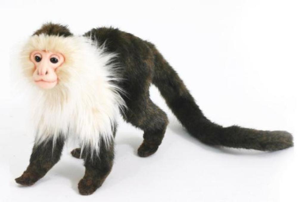 Anima Peluche Singe Capucin - 25 cm Anima Peluche Singe Capucin - 25 cm