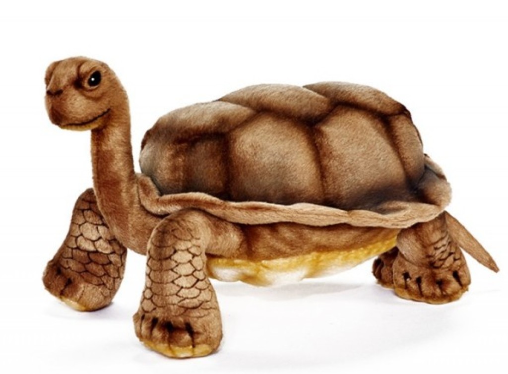 peluche tortue