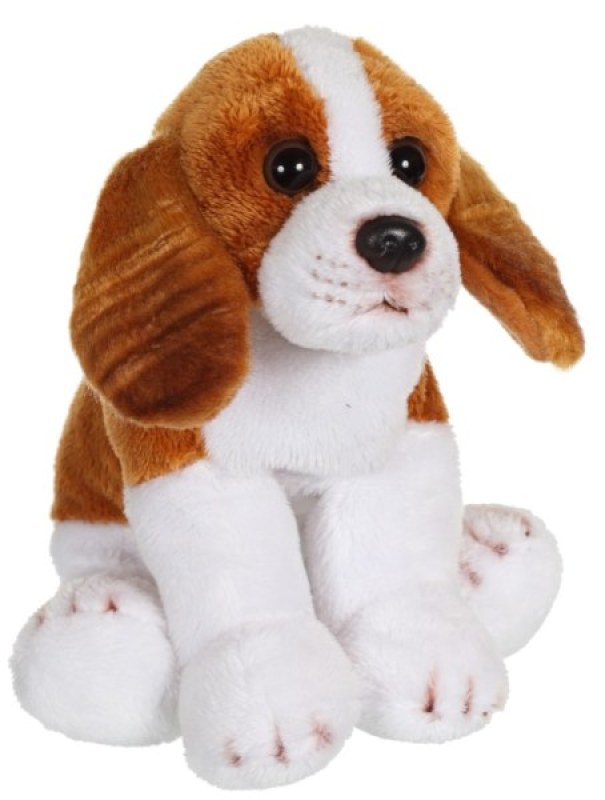 Peluche Chien Cavalier King Charles Floppipup - 22 cm de chez Gipsy, collection Floppipup