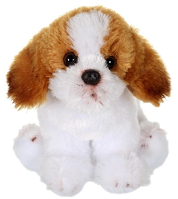 Peluche Chien Shitzu Marron Floppipup - 22 cm Gipsy Peluche Chien Shitzu Marron Floppipup - 22 cm de chez Gipsy, collection Floppipup