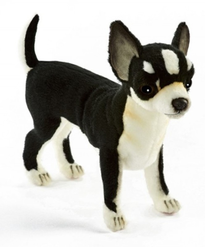 Peluche Chien Chihuahua Noir et Blanc Hansa Peluche Chien Chihuahua Noir et Blanc de chez Hansa, collection Vos Animaux preferes