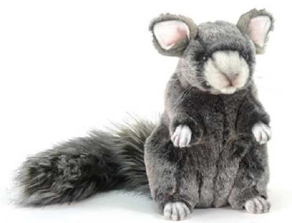 peluche chinchilla