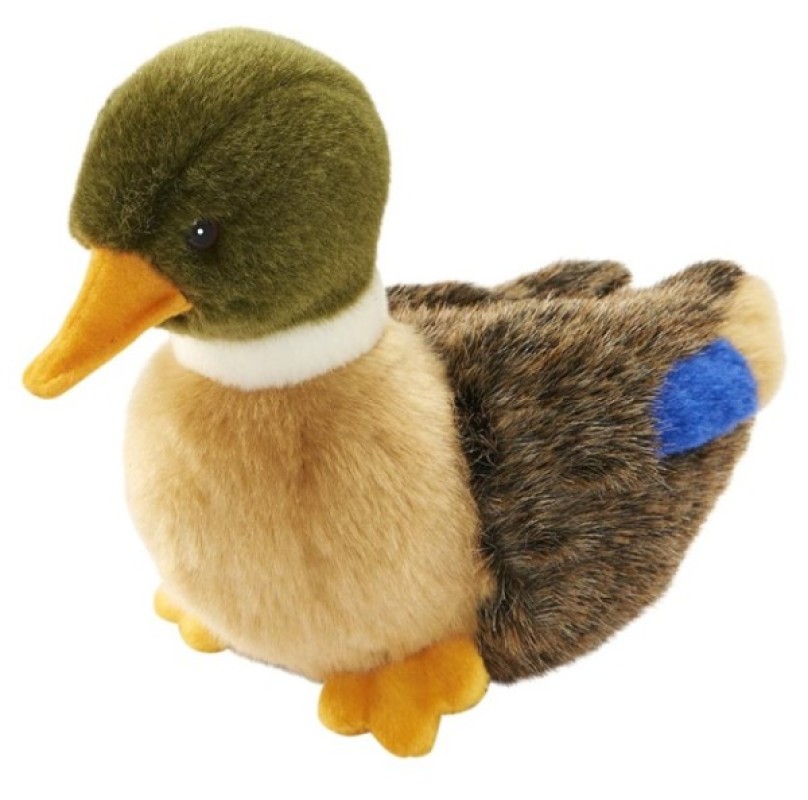 Peluche Colvert - 19 cm Hansa Peluche Colvert - 19 cm de chez Hansa, collection