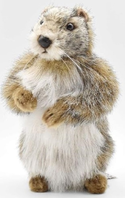Peluche Marmotte - 25 cm Hansa Peluche Marmotte - 25 cm de chez Hansa, collection La magie des forets