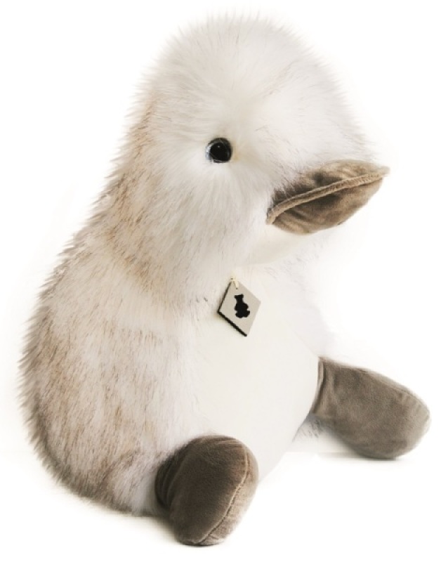 histoire d ours coin coin histoire d ours coin coin