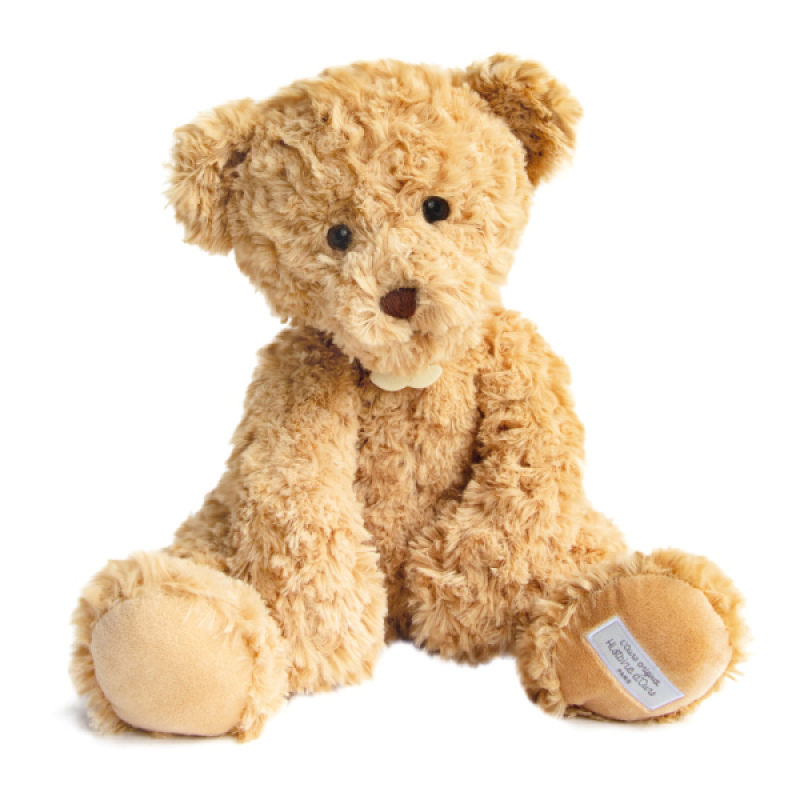 ours en peluche 50 cm